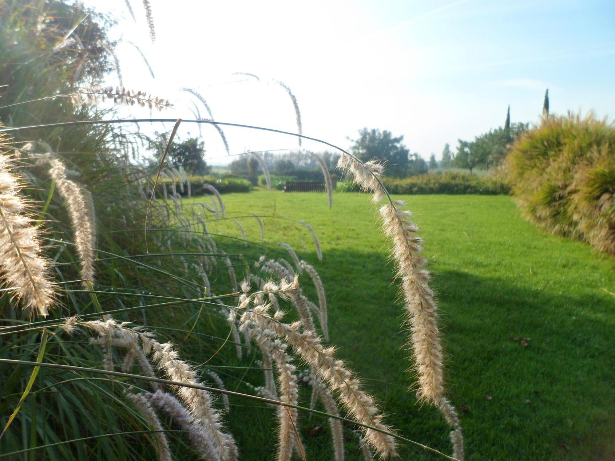 Casale Di Tormaggiore Villa And Country Suites Pomezia Exterior photo